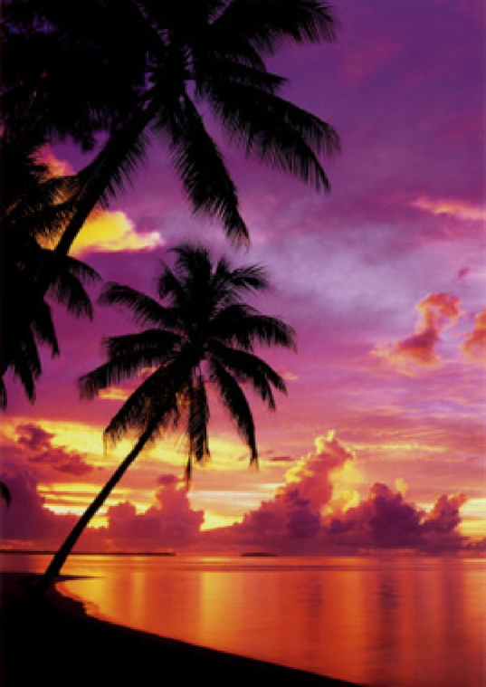 Poster_P29658745